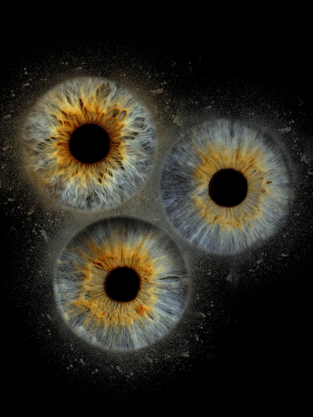 Three irises joined by trails of fine particles, showing a shared iris art composition