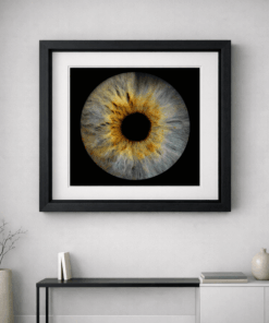 Golden iris photograph in a square black frame with a white mount
