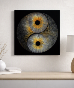 Yin Yang iris wall art set displayed above a unit at Optic Artistry