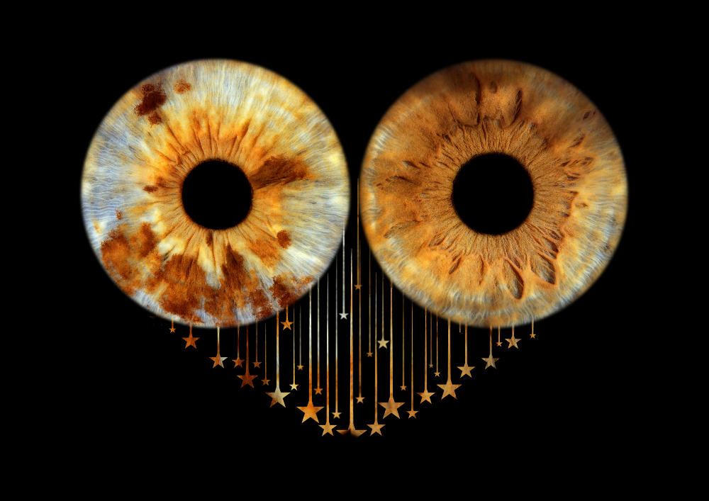 Two‑iris “Dropping Stars” artwork created at Optic Artistry