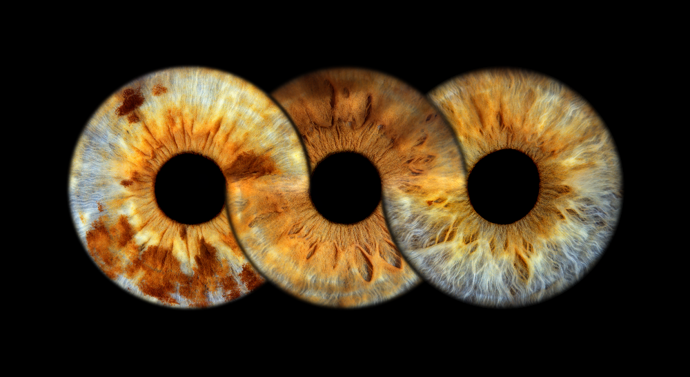 Infinity trio iris portrait with detailed colour and texture