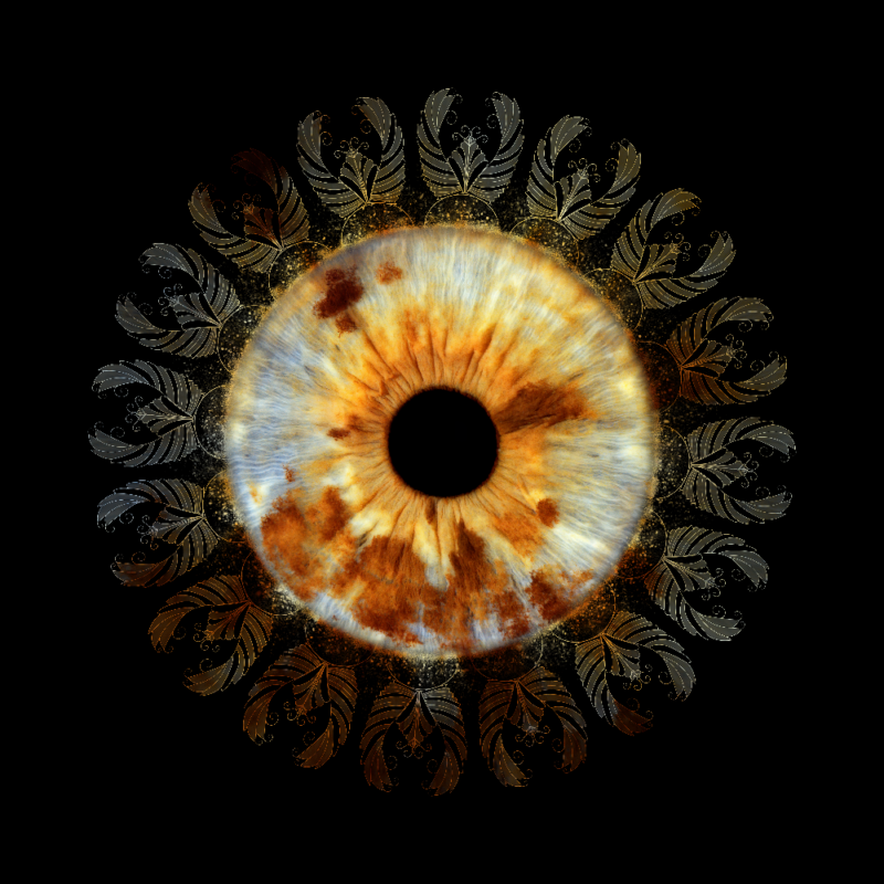 Golden iris arranged in a radial mandala on a black background