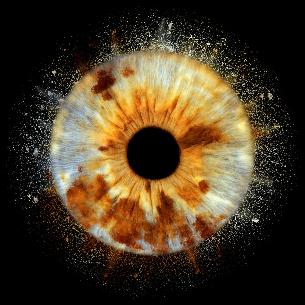 Gold and grey iris with a fine dust effect, created through iris photography in Bournemouth